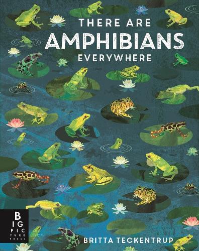website 7-9 There are amphibians everywhere
