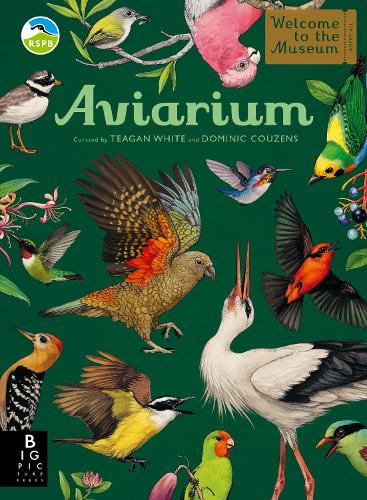 website 9-11 Aviarium Welcome to The Museum